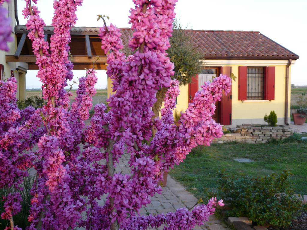 B&B La Garzetta Adria Luaran gambar